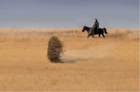 Стихи об оренбургском крае