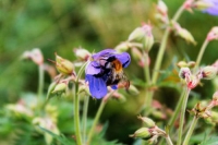 Стихи про июнь