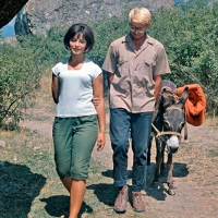 Песня про медведей