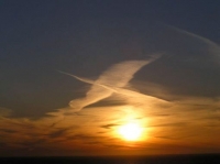 Лебеди летят стихи