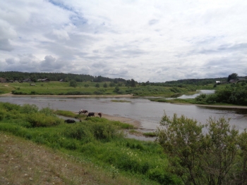 Мой родной север. Отличное место для уединения и размышлений.
