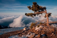 Стихи горы и море