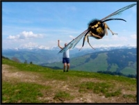 Стихи этот мир