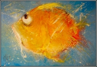 Стихи осторожный