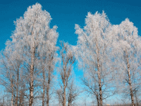 Стихи снегопад