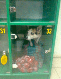 Потерянный стихи