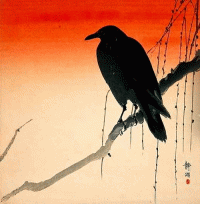 Вороны в стихах