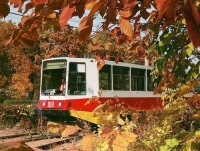 Ветер осени стихи