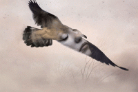 Стихи жизнь продолжается