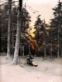 Стихи о закате в лесу
