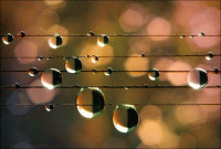 Стих капли дождя