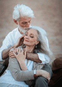 Стих не покидай