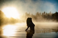 Стихи девушке эротические