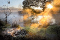 Осень и печаль стихи