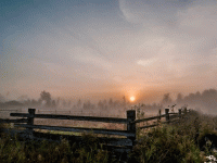 Вечерний туман стихи