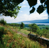 Из электрички стихи