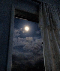 Стихи в лунном сиянии