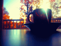 Не сложилось стихи