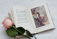 Стих в сонете