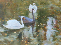 Стихи лебеди на пруду