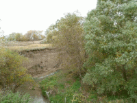 Долина стихов