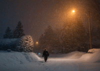 Морозная ночь стих