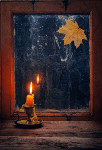 Стихи об осени и ночи