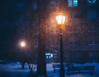 Снег во дворе стих