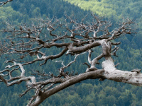 Про конец стихи