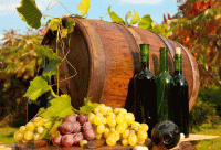 Стихи к вину