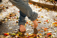 Стих я иду по осени