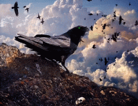 Тревожные стихи