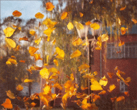 Стихи а за осенью зима