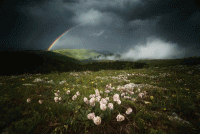 Вірш про дощик з неба