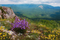 На горе стих