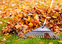 Стихи памяти родителей