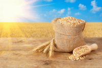 Стихи про хлеб