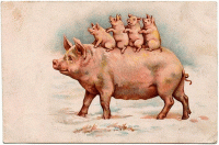 Мой поросёнок стихи