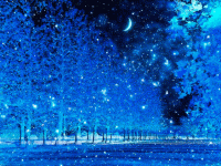 Снег ночь луна стих