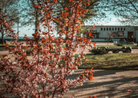 Стих о любви наша весна