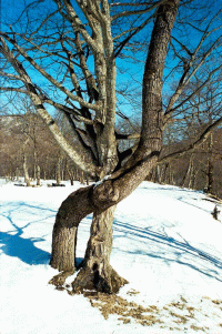 Берегите семью стихи