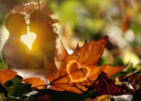 Любовьзавяла стих