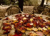 Встреча друзей стихи