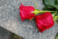 В память о маме короткие стихи