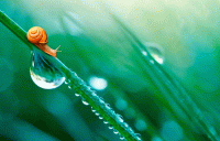 Стихи не помни зла