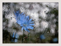 Скоро будет дождь стих