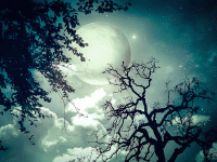 Перестал любить стихи