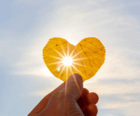 Мир без меня стихи