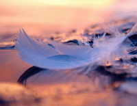 Чёрно-белая жизнь стихи