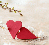 Все ради тебя стих